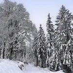 Baerbel By Interhome Apartment