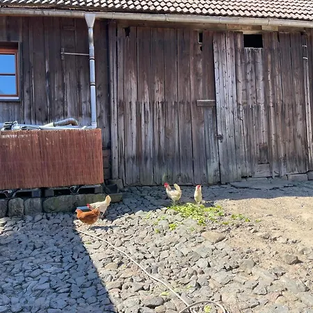 Baerbel By Interhome Appartamento