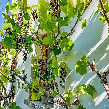 Baerbel By Interhome Suhl