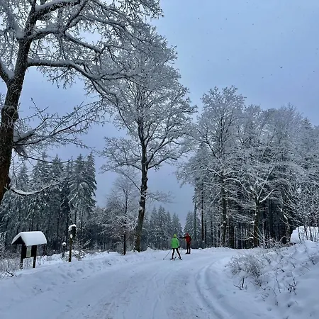 Daire Baerbel By Interhome Suhl