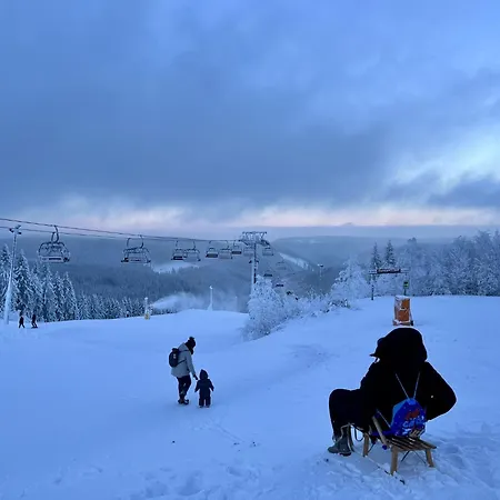 Appartamento Baerbel By Interhome Suhl