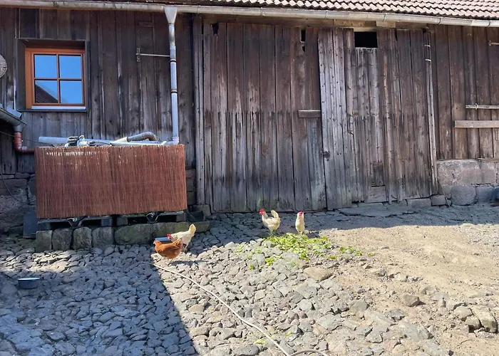 Baerbel By Interhome Daire