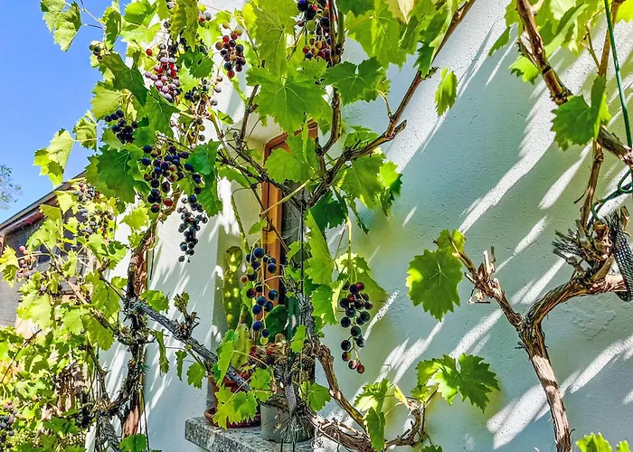 Baerbel By Interhome Suhl