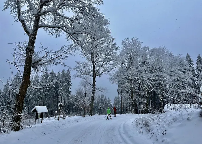 Daire Baerbel By Interhome Suhl