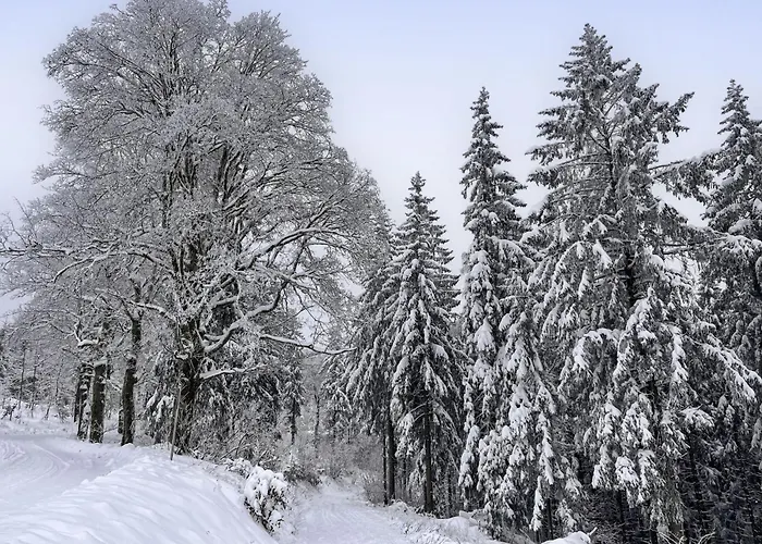 Baerbel By Interhome Daire