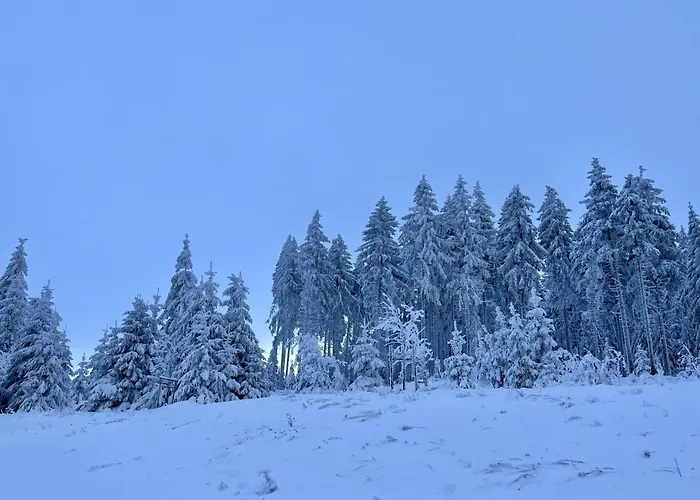 Baerbel By Interhome Daire Suhl